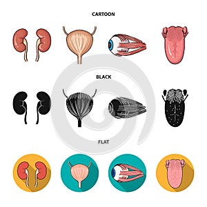 Kidney, bladder, eyeball, tongue. Human organs set collection icons in cartoon,black,flat style vector symbol stock