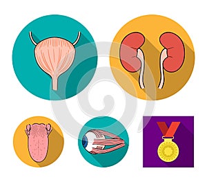 Kidney, bladder, eyeball, tongue. Human organs set collection icons in flat style vector symbol stock illustration web.