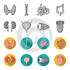 Kidney, bladder, eyeball, tongue. Human organs set collection icons in monochrome,flat style vector symbol stock