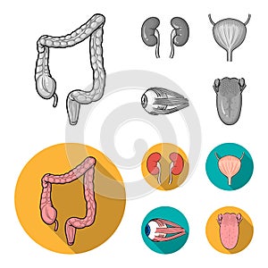 Kidney, bladder, eyeball, tongue. Human organs set collection icons in monochrome,flat style vector symbol stock