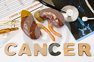 Kidney cancer concept. Anatomical shape of kidneys with adrenal lies near word cancer surrounded by set of tests, analysis, drugs,