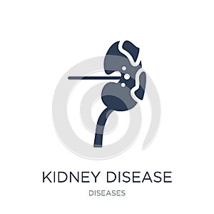 Kidney Disease (Chronic Kidney Disease) icon. Trendy flat vector