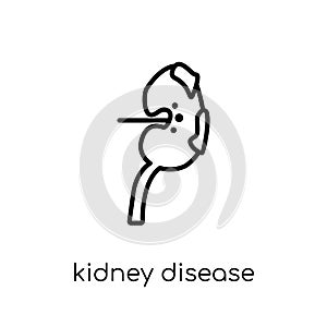 kidney disease (chronic kidney disease) icon. Trendy modern flat