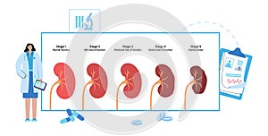 Kidney disease concept