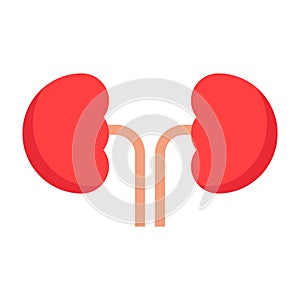 Kidney flat clipart vector illustration