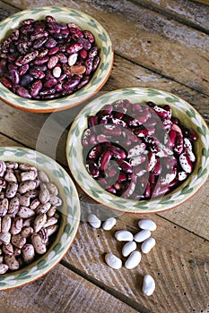 Kidney haricot beans