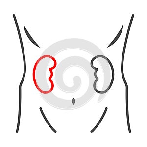 Kidney hurts thin line icon, body pain concept, kidneys disease vector sign on white background, outline style icon for