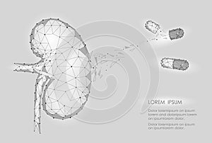 Kidney internal organ men 3d low poly geometric model. Urology system medicine disease treatment drug capsule. Future