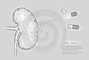 Kidney internal organ men 3d low poly geometric model. Urology system medicine disease treatment drug capsule. Future photo