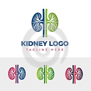 Kidney Logo Template Design Vector illustration, Urology Logo Stock Vector, Healthcare human kidney organ concept. photo