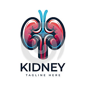 Kidney Logo Template Design Vector illustration, Urology Logo Stock Vector, Healthcare human kidney organ concept. photo