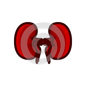 Kidney red icon vector illustration isolated on white background