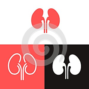 Kidney renal flat realistic icon. Human kidney vector organ icon. Anatomy urology or nephrology logo