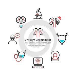 Kidney signs banner. Urology department. Line icons set. Vector symbols for web graphic.