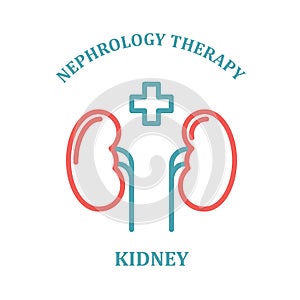 Kidney simple icon - nephrology department