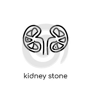 Kidney stone disease icon. Trendy modern flat linear vector Kidney stone disease icon on white background from thin line Diseases