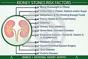 Kidney Stones Disease Risk Factors Infographic Vector Illustration