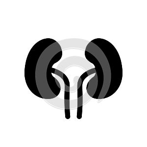 Kidney vector icon