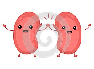 kidneyCharacters of sad and happy kidneys. Vector illustration