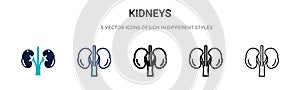 Kidneys icon in filled, thin line, outline and stroke style. Vector illustration of two colored and black kidneys vector icons