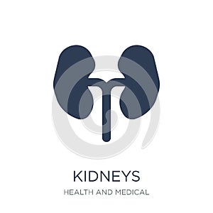 Kidneys icon. Trendy flat vector Kidneys icon on white background from Health and Medical collection