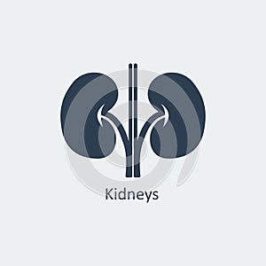 Kidneys Icon. Vector illustration