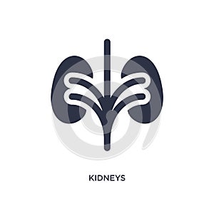 kidneys icon on white background. Simple element illustration from medical concept