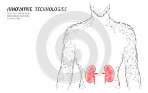 Kidneys internal organ men silhouette 3d low poly geometric model. Urology system medicine treatment. Future science photo