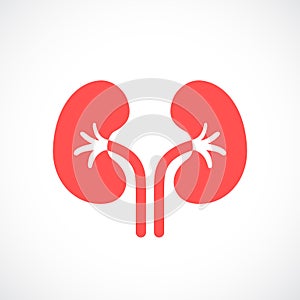 Kidneys vector icon