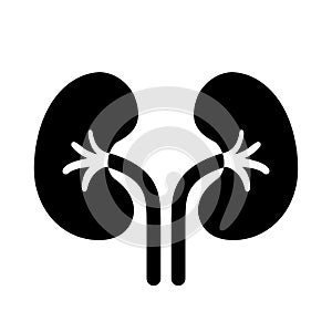 Kidneys vector pictogram