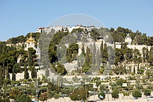 Kidron Valley and the Mount of Olives