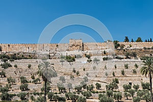 The Kidron Valley,  separating the Temple Mount from the Mount of Olives in Jerusalem, with Jewish graveyard and olive trees, and