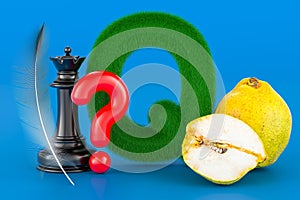 Kids ABC, fluffy letter Q with quill, question mark, queen chess, quince. 3D rendering