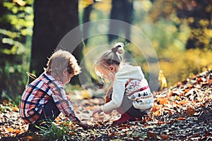 Kids activity and active rest. Children pick acorns from oak trees. Brother and sister camping in autumn forest. Little