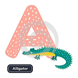 Kids alphabet. Letter d. Cute cartoon alligator.