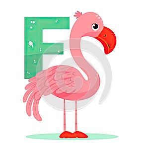 Kids alphabet with pink flamingo. Cute cartoon bird, standing near green letter F on white background. Children abc