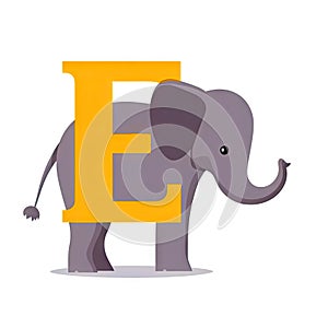 Kids alphabet with pretty elephant. Cute grey cartoon animal, standing near yellow letter E on white background