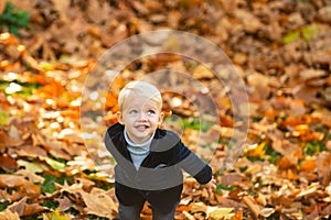 Kids in autumn park on yellow leaf background. Autumn portrait of cute little caucasian boy.