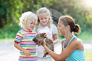 Kids with baby pig animal. Children at farm or zoo photo