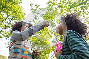 Kids Blowing Bubbles