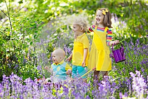 Kids in bluebell flower forest in summer