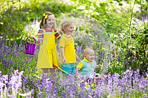 Kids in bluebell flower forest in summer