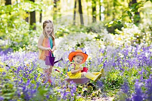 Kids with bluebell flowers, garden tools