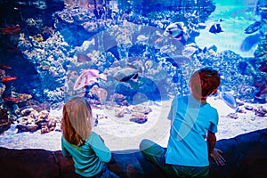 Kids-boy and girl- watching fishes in aquarium