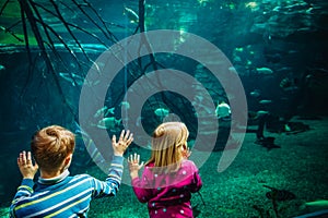 Kids-boy and girl- watching fishes in aquarium