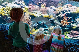 Kids -boy and girls -watching fishes in aquarium