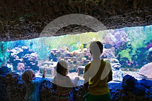 Kids -boy and girls -watching fishes in aquarium