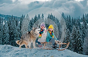 Kids boy and little girl with husky dog enjoying a sleigh ride. Children sibling together sledding, play outdoors in