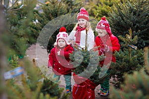 Kids buying Christmas tree