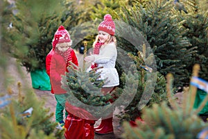 Kids buying Christmas tree